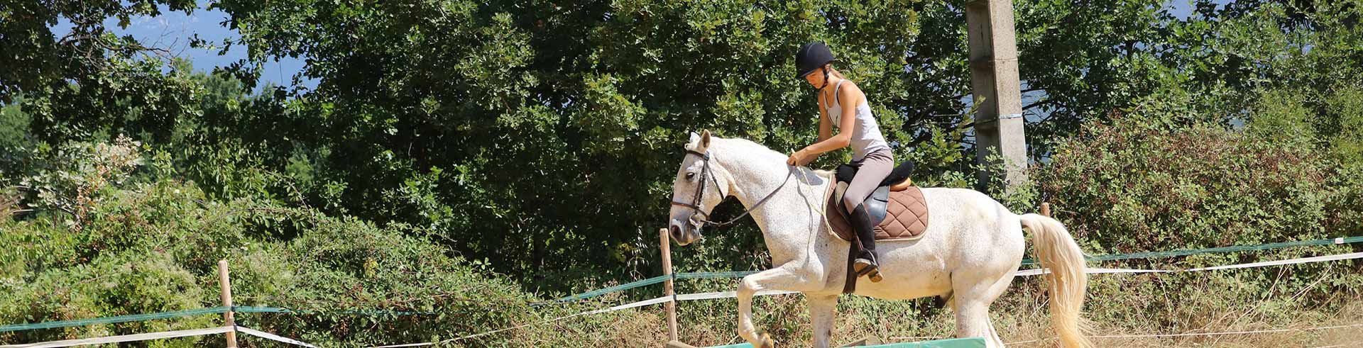 saut d'obstacle à cheval