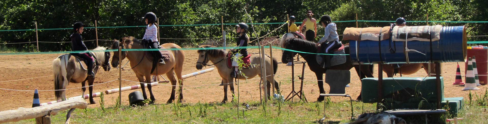 cours de poneys au poney rouge
