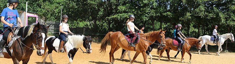 Cours d'équitation au poney rouge