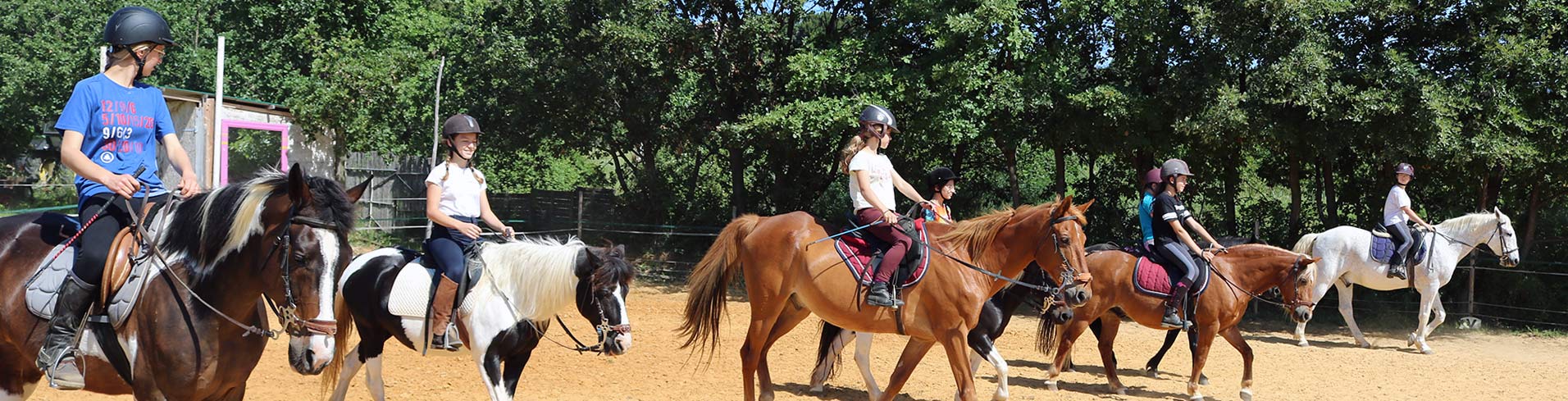 Cours d'équitation au poney rouge
